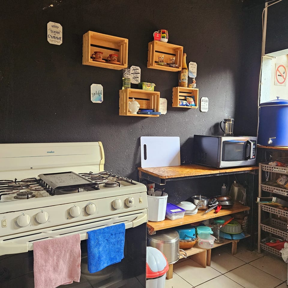 Microwave, oven, blender, cookware/dishes/utensils