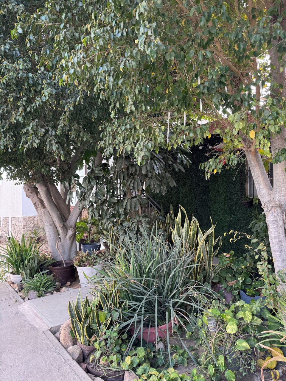 Property grounds