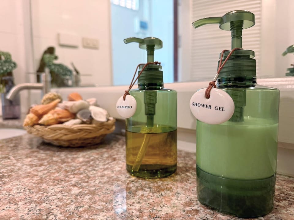 Standard Twin Room | Bathroom | Shower, hair dryer, towels, soap