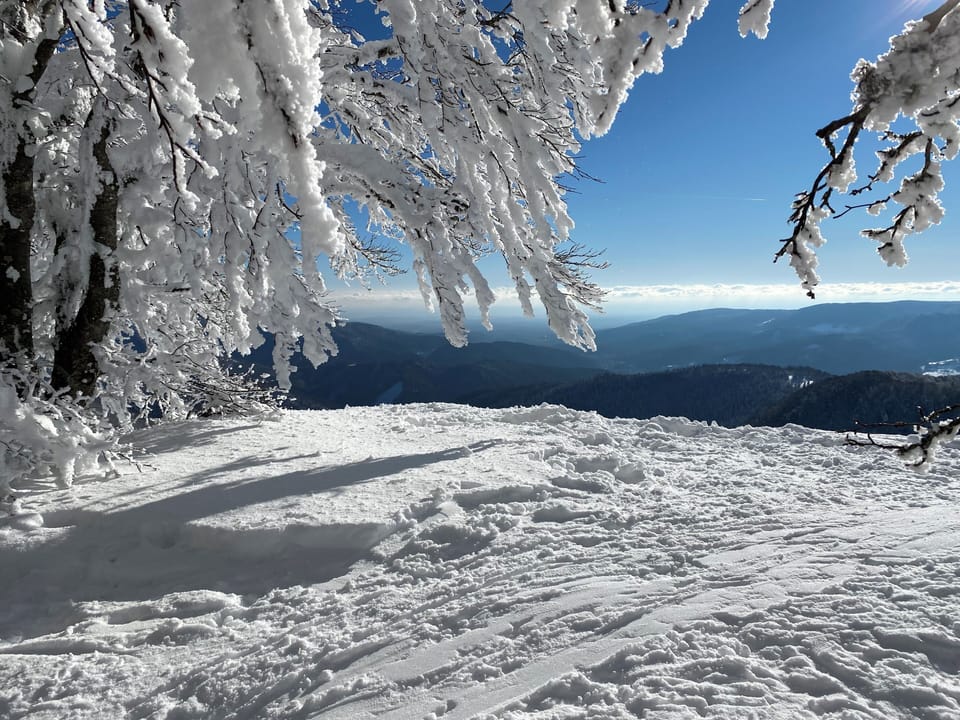 Snow-covered Crète Route – near the chalet Le Renard (2)