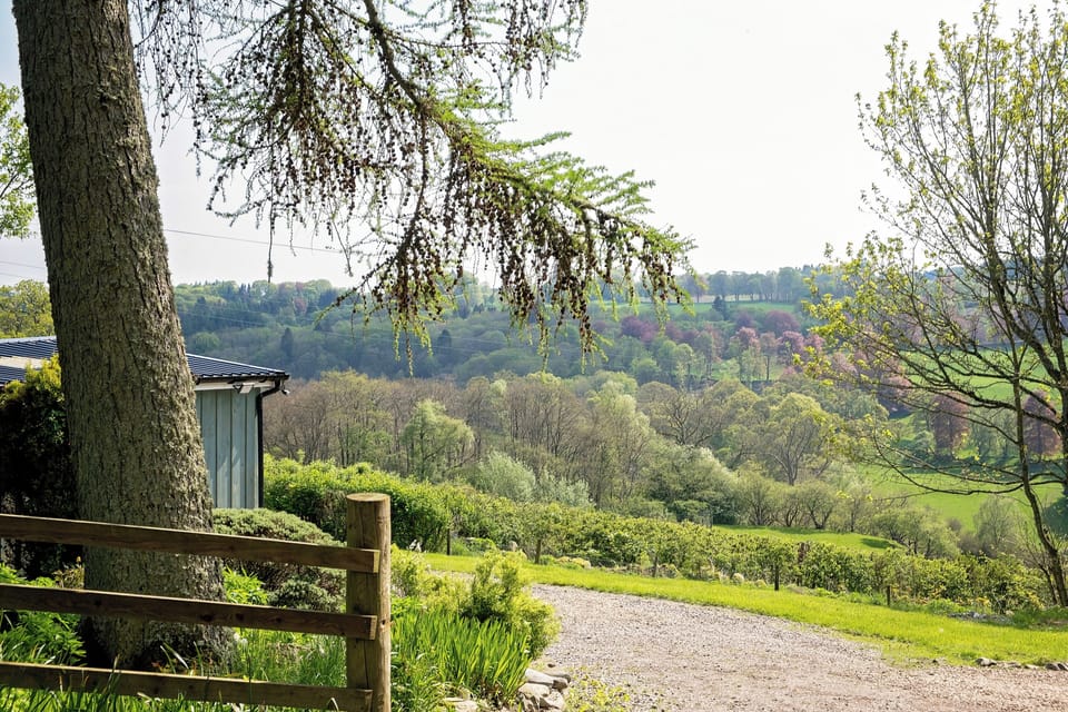 Drive into cottage and view from garden