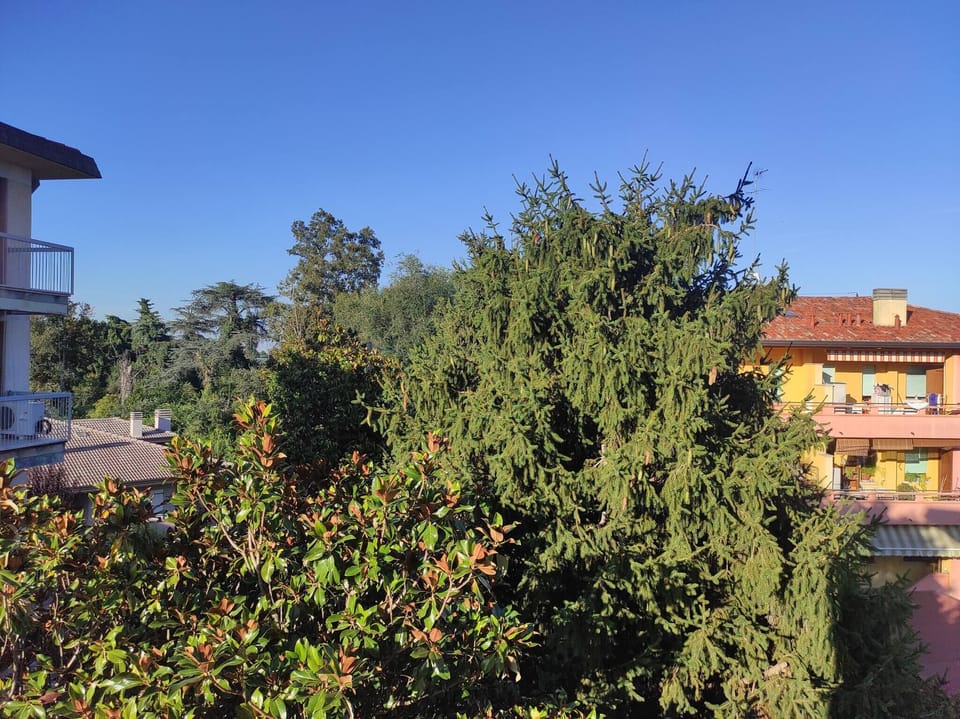 Apartment, 3 Bedrooms, Terrace, Garden View | Garden