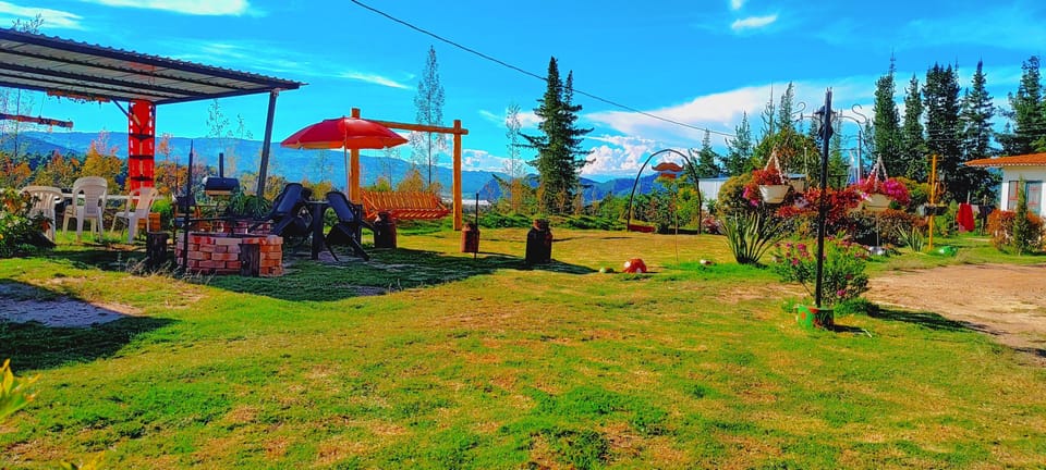 Outdoor wedding area