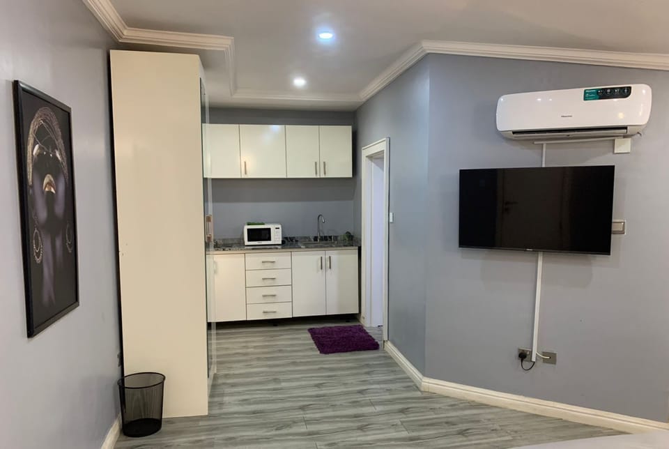 Deluxe Apartment | Living area