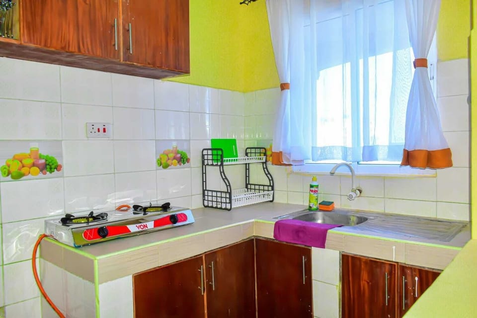 Classic Apartment, City View | Private kitchen | Fridge, microwave, cookware/dishes/utensils
