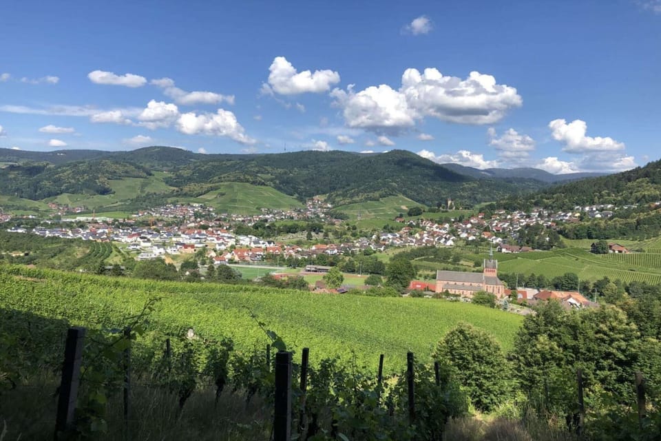 Surroundings [summer] (1-5 km)