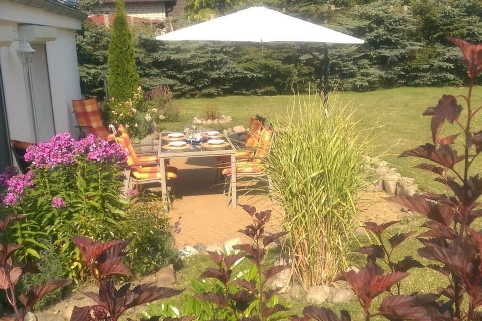 Garden [summer]
