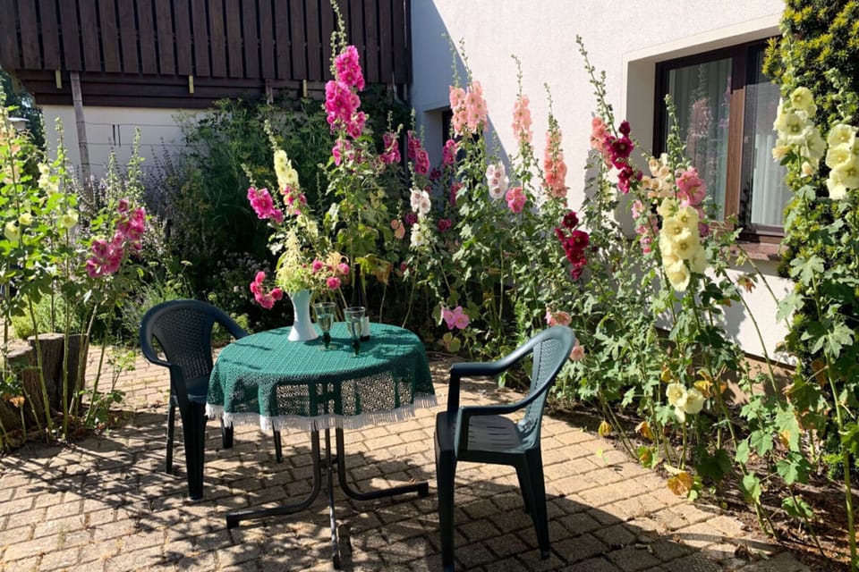 Patio / Balcony