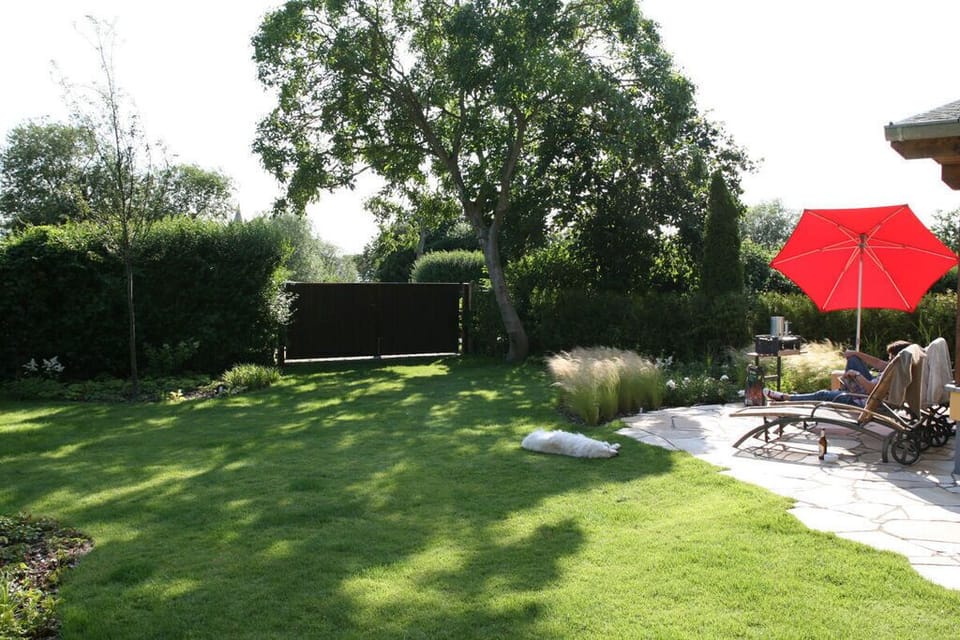 Garden [summer]