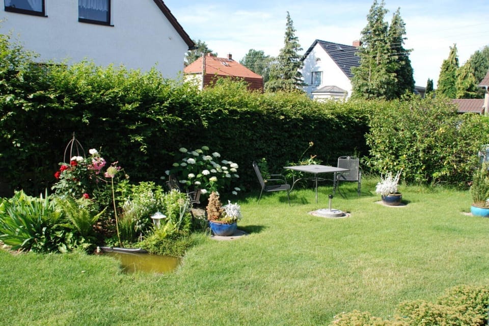 Garden [summer]