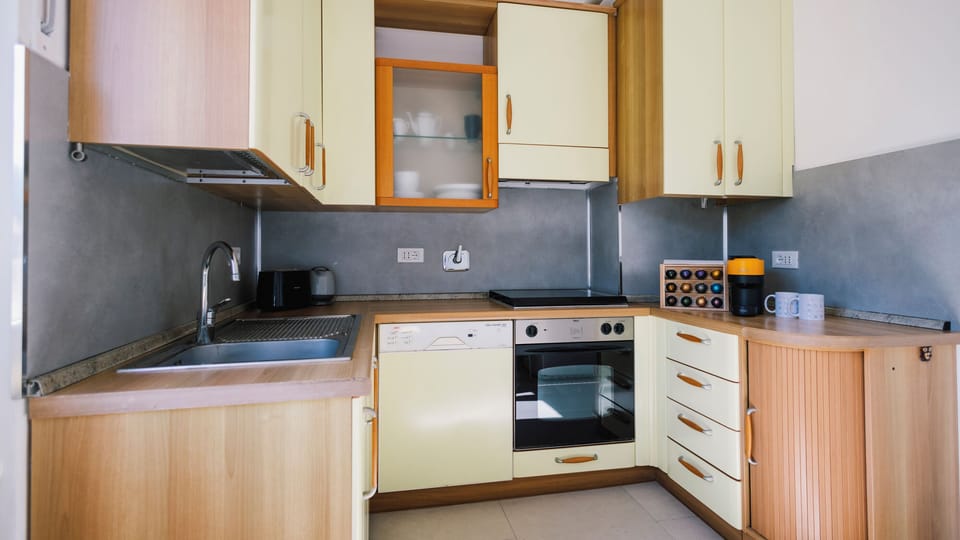 Apartment (1 Bedroom) | Private kitchen | Fridge, oven, stovetop, dishwasher