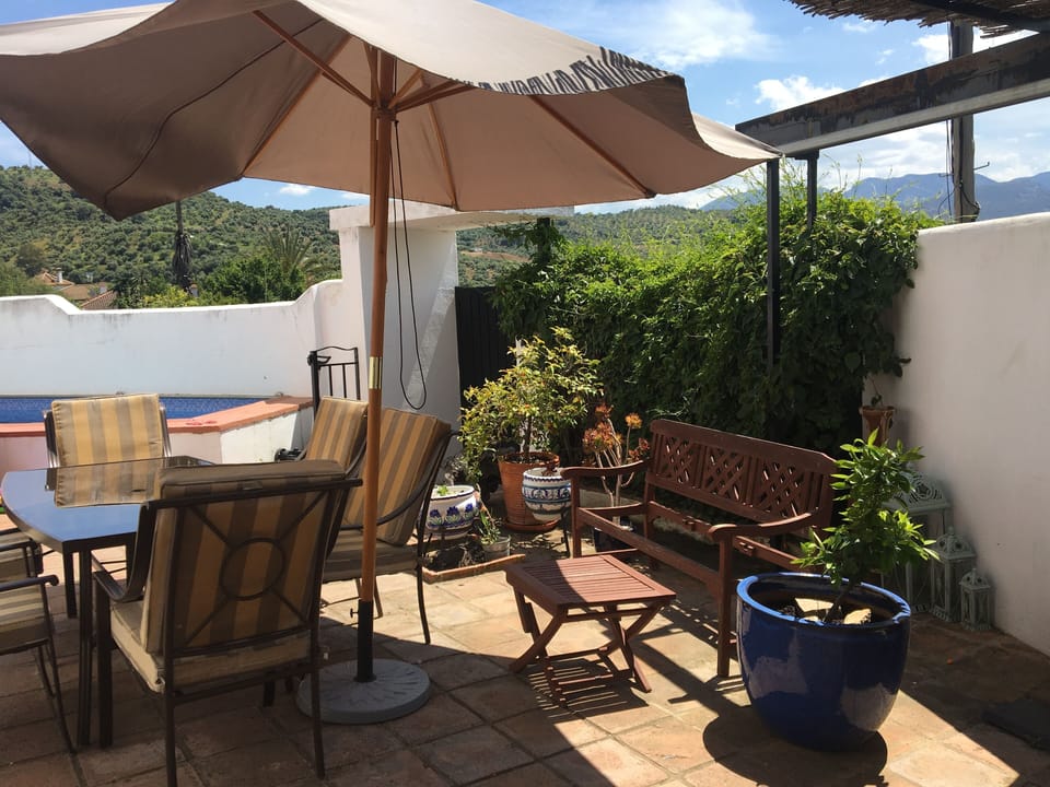 Patio garden