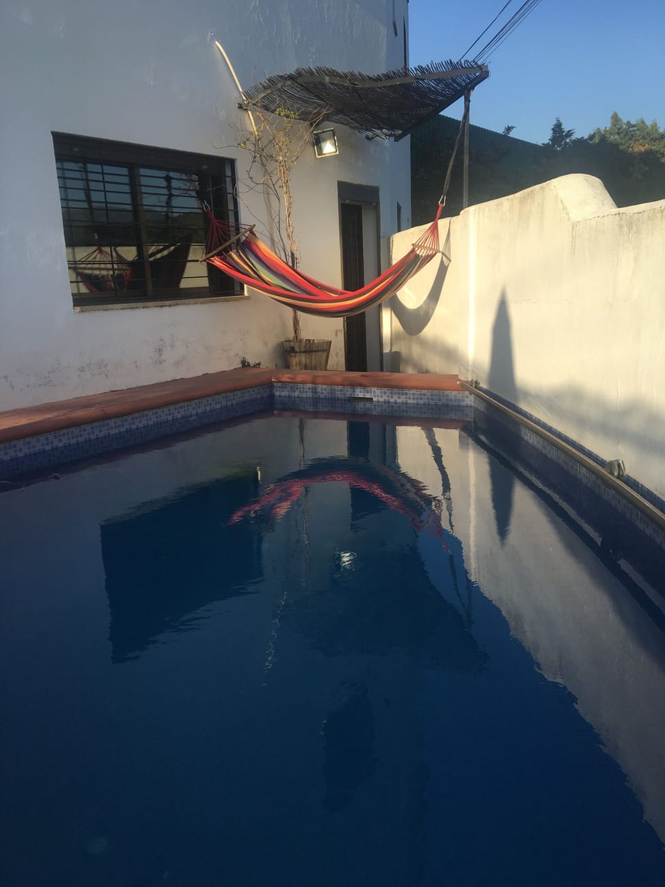 Pool and hammock