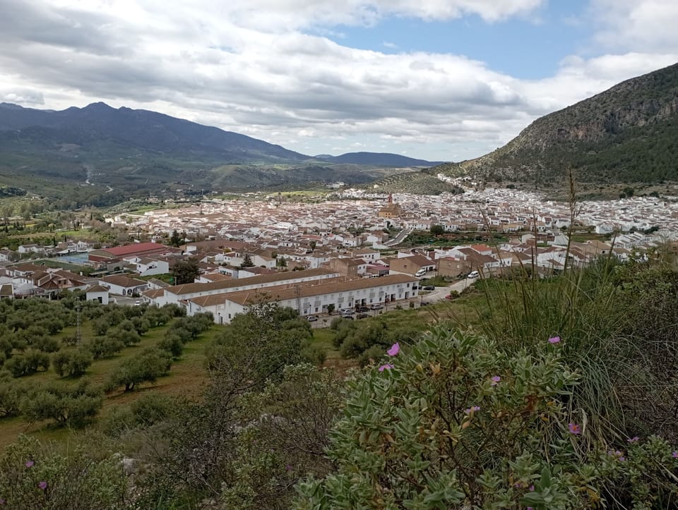 Algodonales