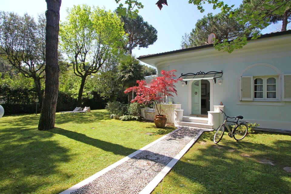 Garden, Outdoor