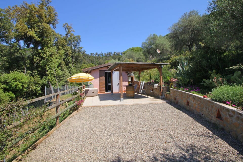 Garden, Outdoor