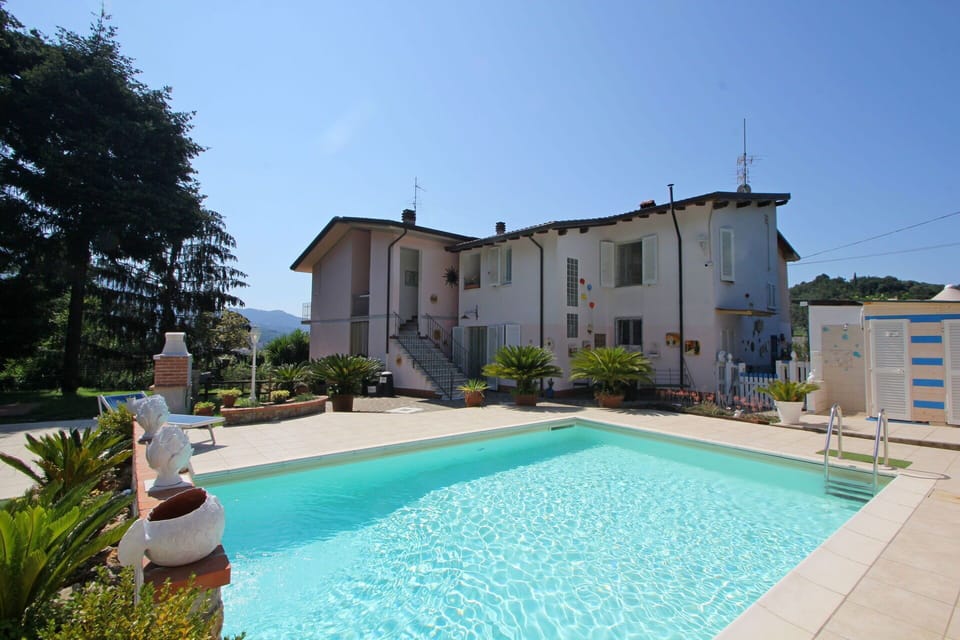 Garden, Outdoor, Pool
