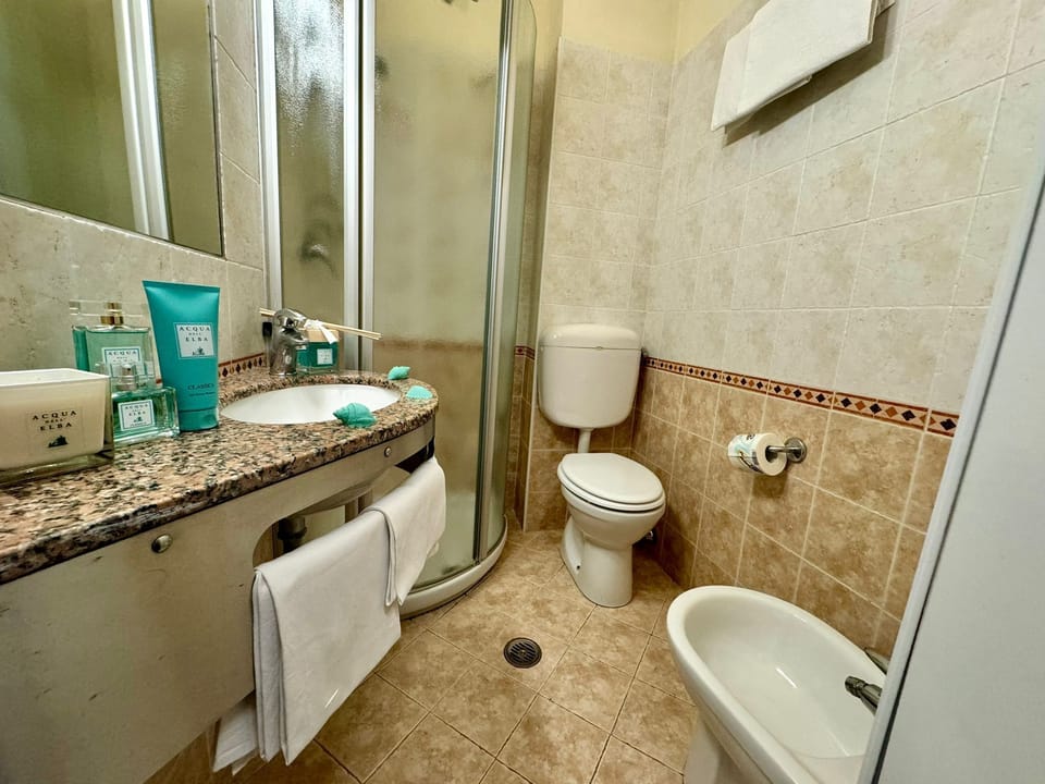 Standard Double or Twin Room | Bathroom | Hair dryer, towels, soap, shampoo