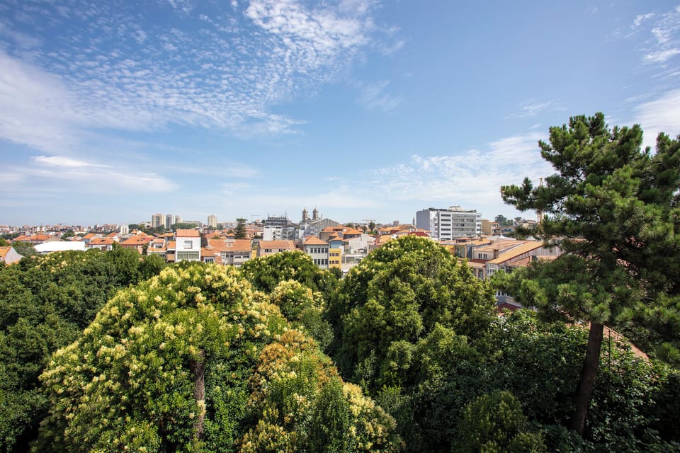 Panoramic Room, City View | Premium bedding, individually decorated, individually furnished