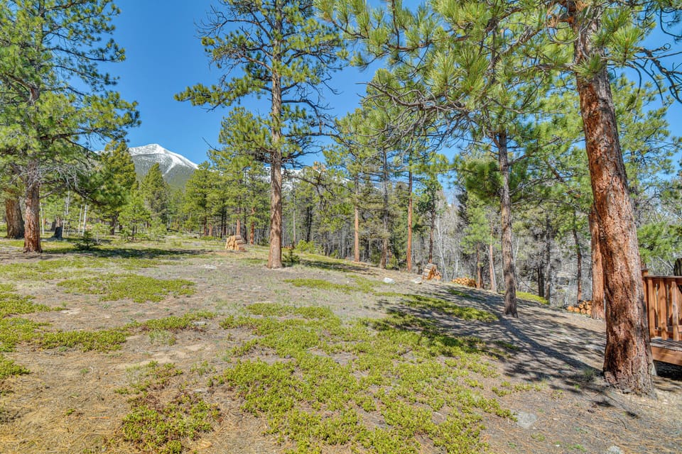 Property Exterior | Mountain Views