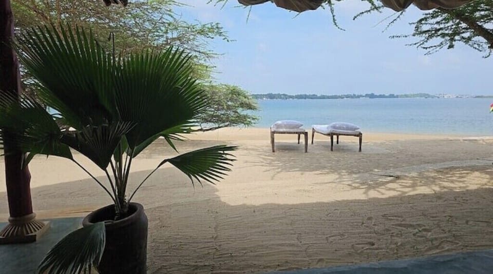 Sun beds in on Shanti beach