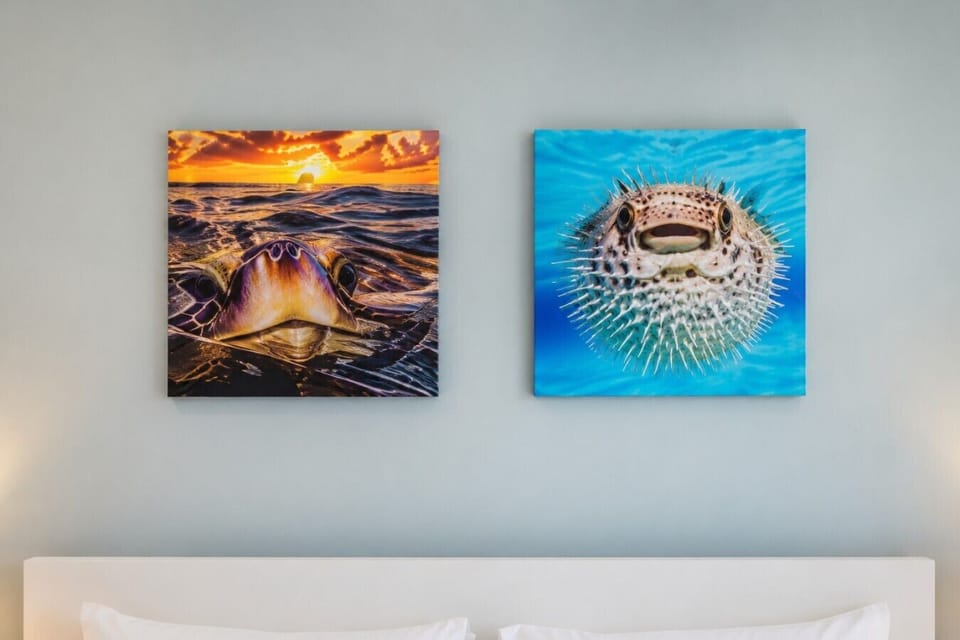 Thoughtfully chosen décor adds warmth, character, and a welcoming touch throughout the space