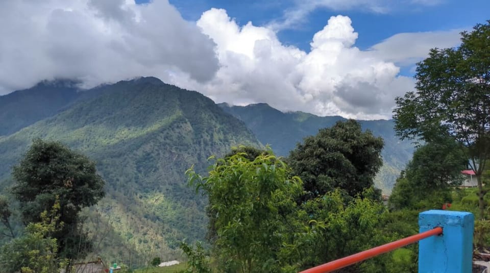 View from property