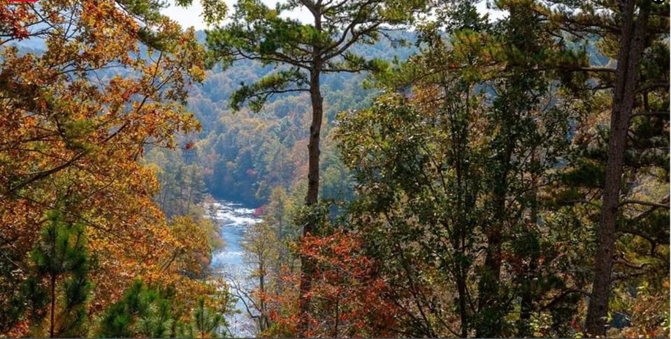 Scenic Overlook: Experience stunning autumn hues cascading to the sparkling river below!