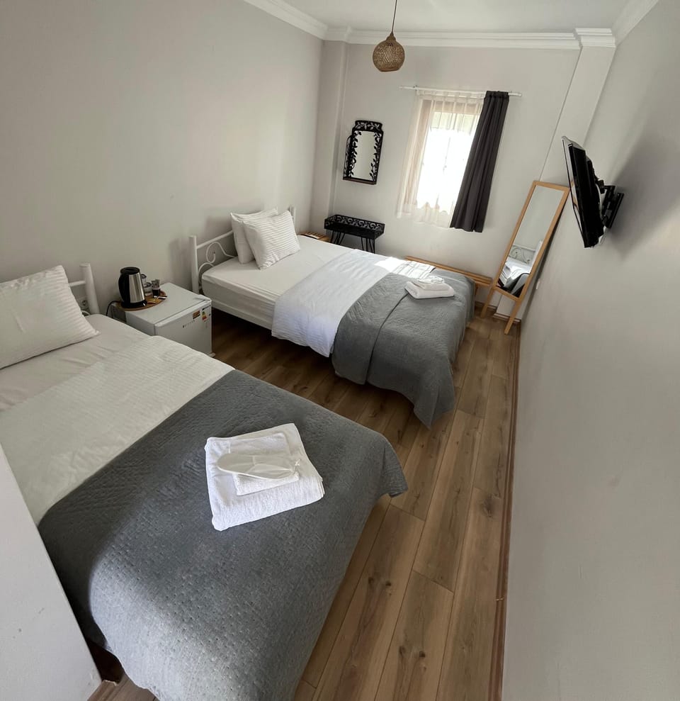Standard Double or Twin Room | Minibar, WiFi (free), bed sheets