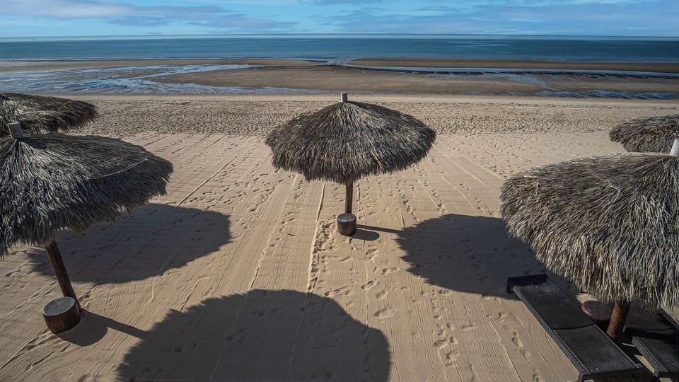 Palapas on the beach.