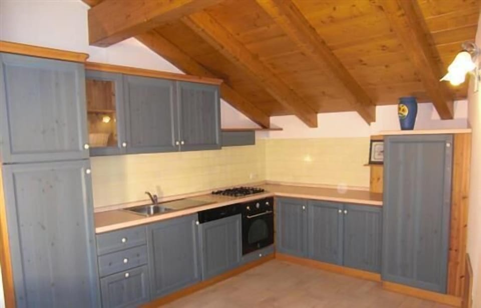 Apartment, 1 Bedroom, Mountain View, Mountainside | Private kitchen | Full-size fridge, oven, stovetop, dishwasher