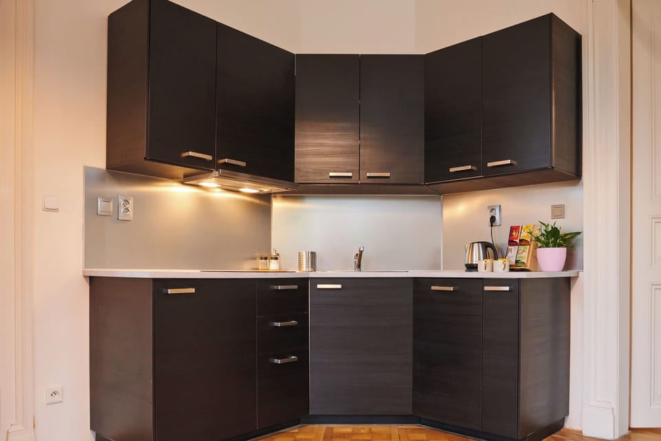 fully equipped kitchen with dishwasher, stovetop and all basic kitchen equipment