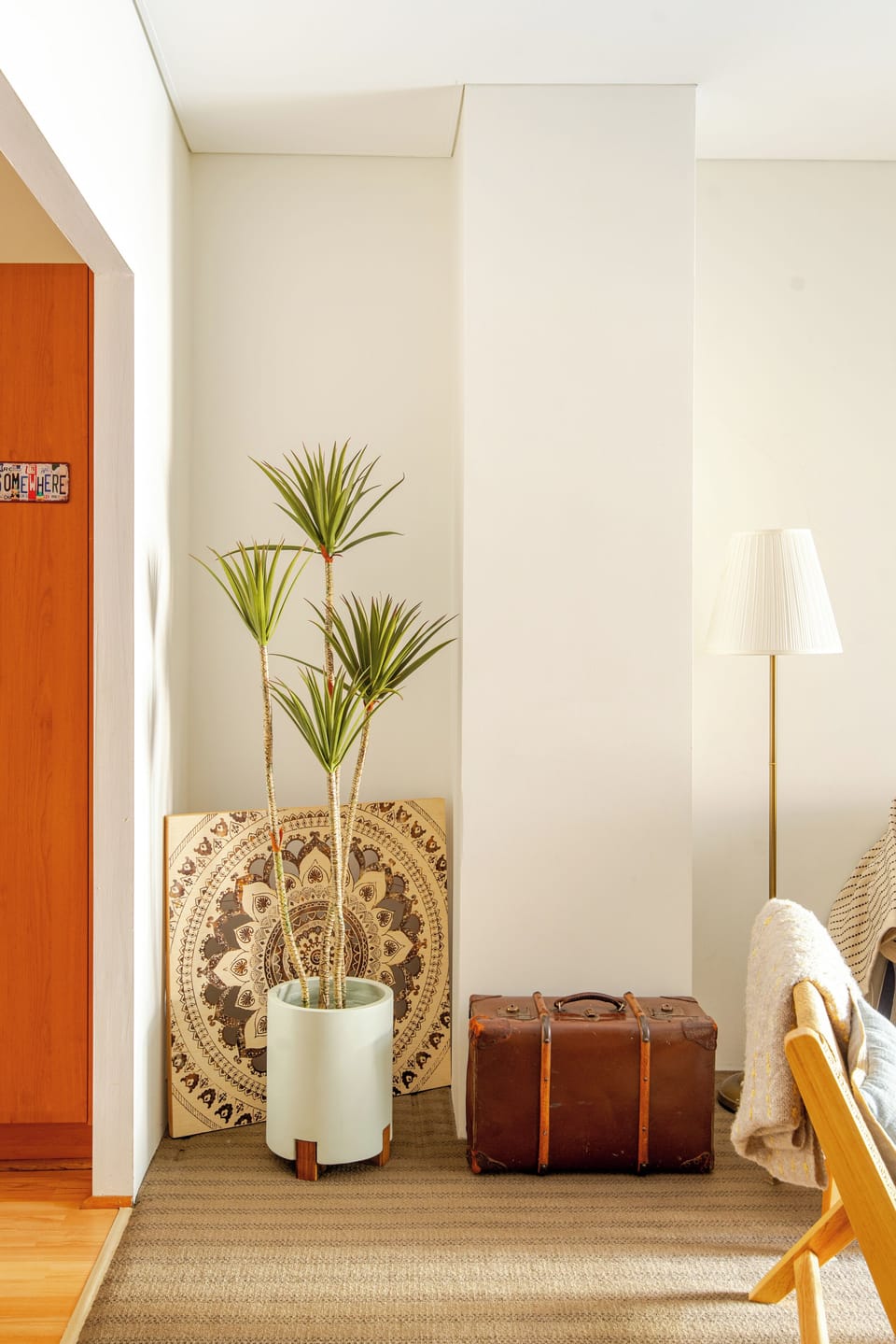 A welcoming entryway with a large potted plant adding a touch of nature, and a circular wall hanging creating a bohemian vibe.