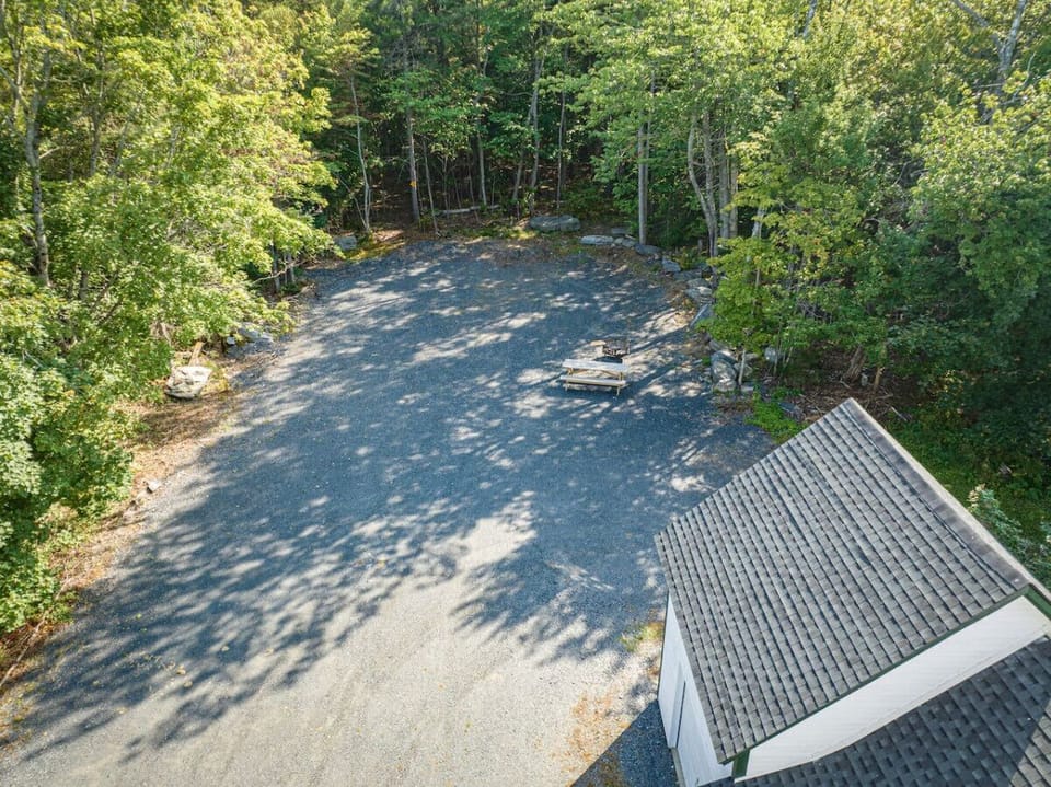 Large Property Surrounded by Trees