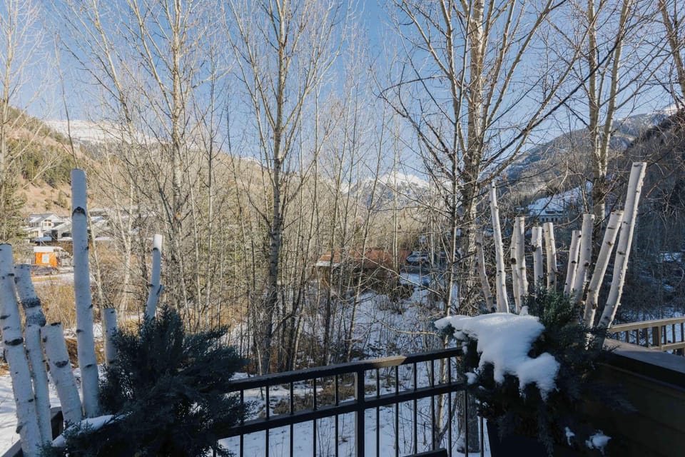 Private Patio - Winter