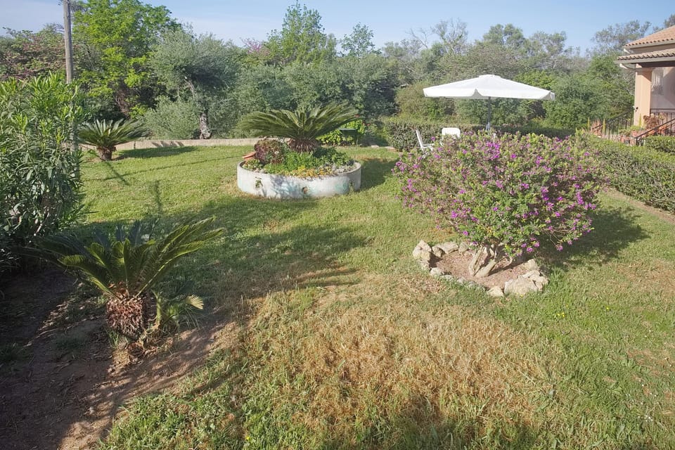 Comfort House, Garden View | Terrace/patio