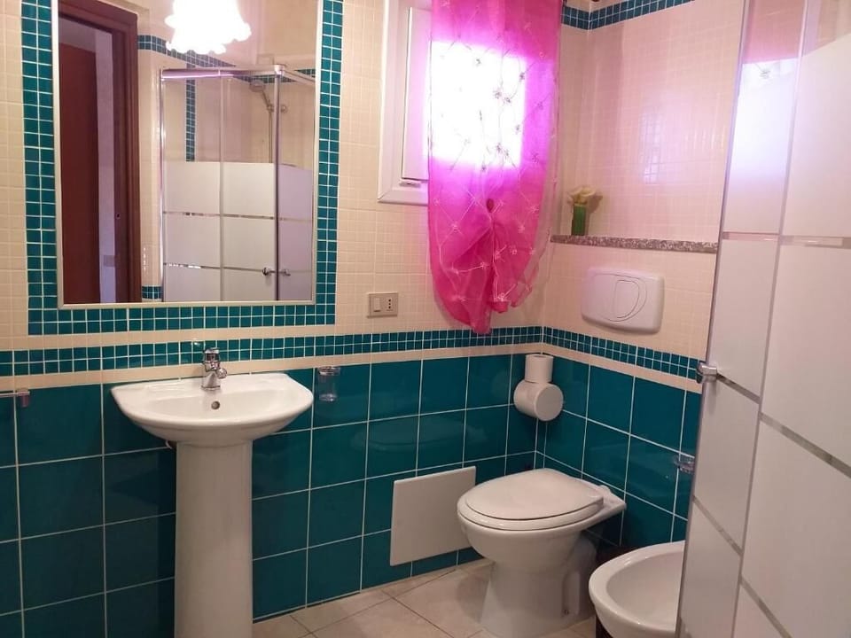 Shower, hair dryer, bathrobes, bidet