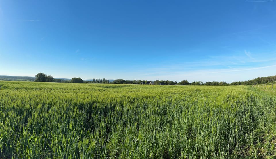 Immediate Surroundings [summer] (<1 km)