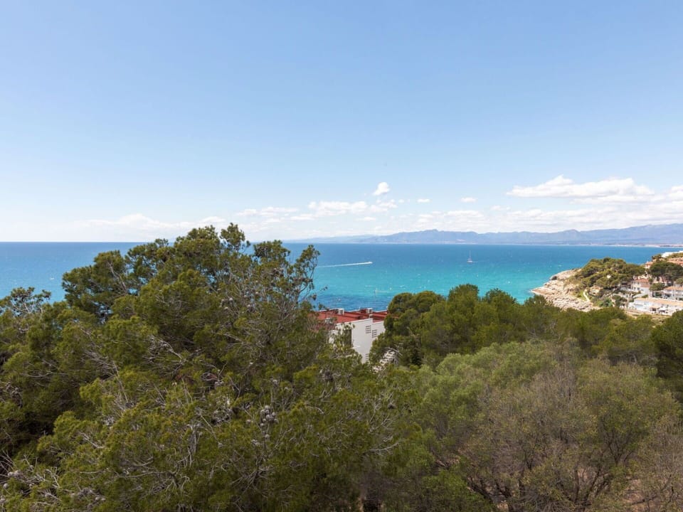 Sky, Cloud, Water, Azure, Natural Landscape, Tree, Coastal And Oceanic Landforms, Terrain, Cumulus, Horizon