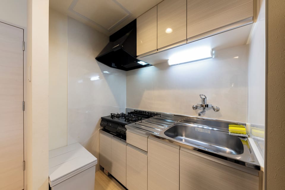 Basic Apartment | Private kitchen | Full-size fridge, microwave, stovetop, electric kettle