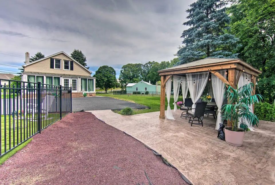 Back yard