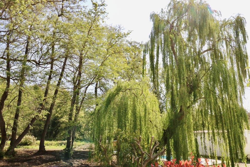 Gites Terra di a Bravona - Appartement Alexandre Vue sur Parc