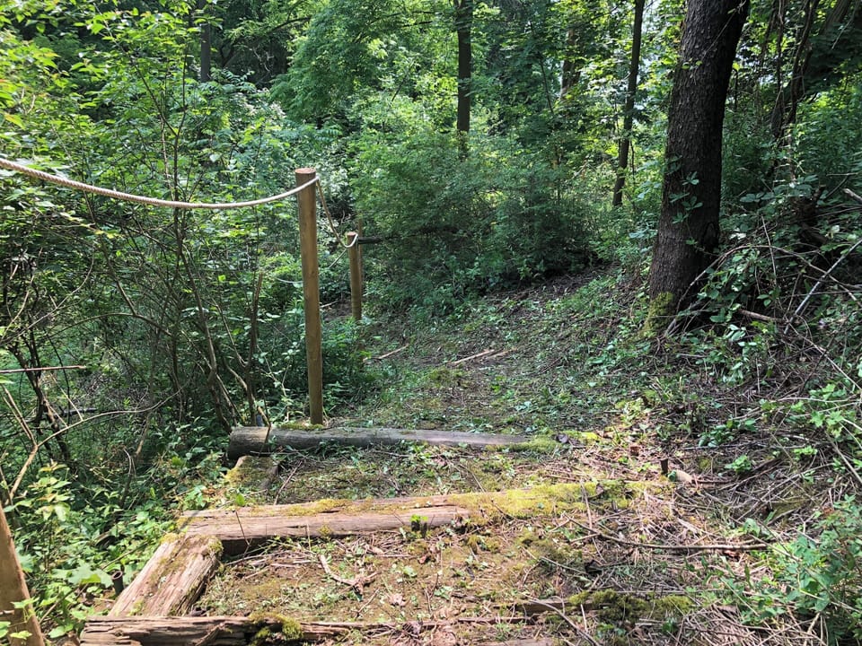 Path to beach