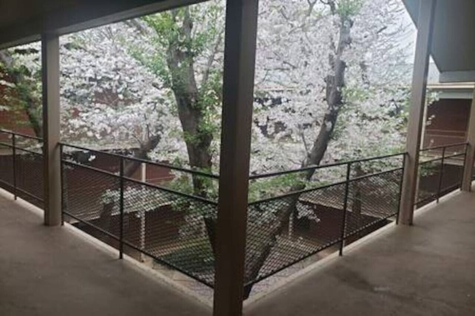 Courtyard view