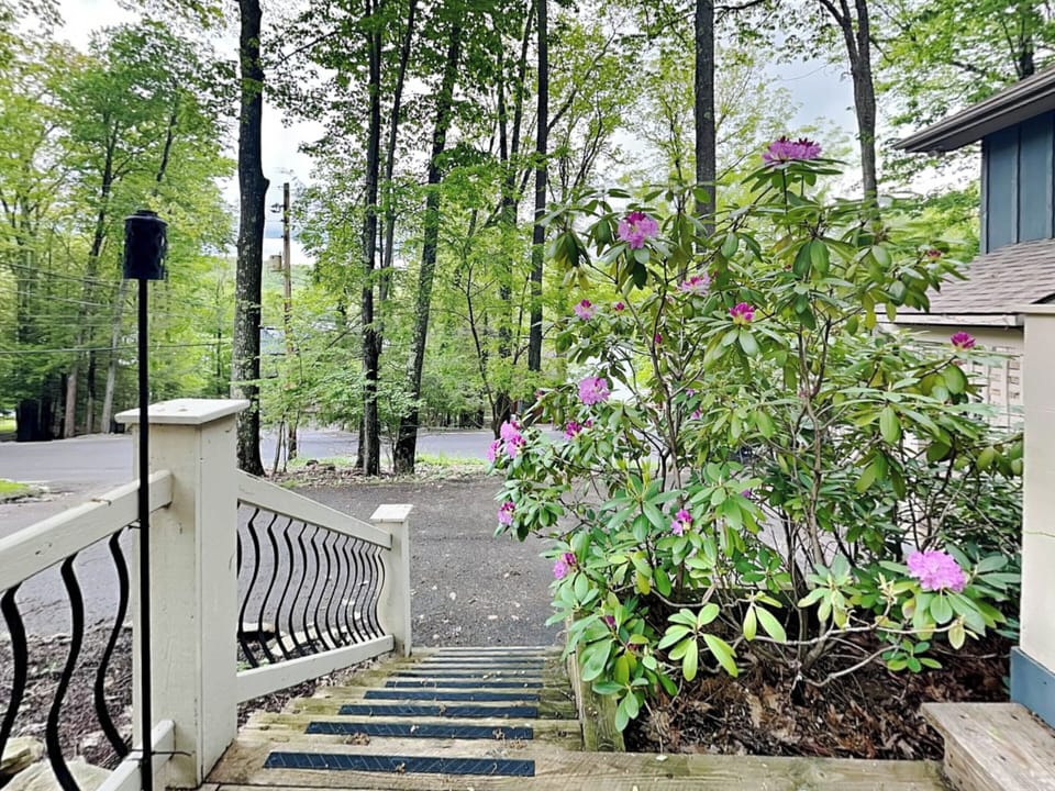House (4 Bedrooms) | Property amenity