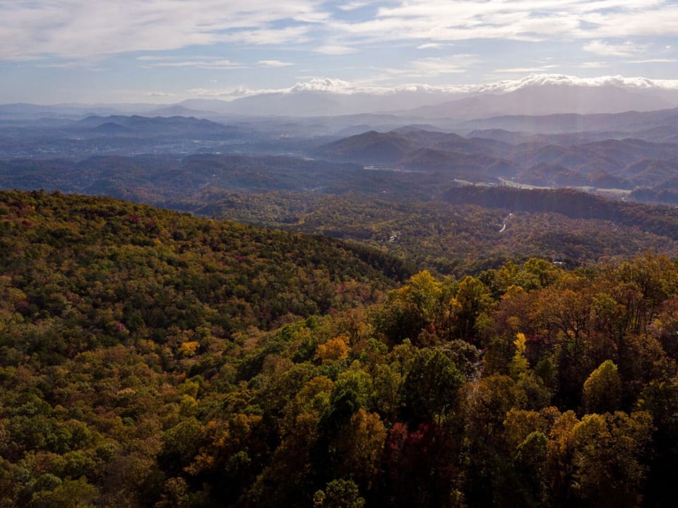 Family Cabin, Mountain View | View from room