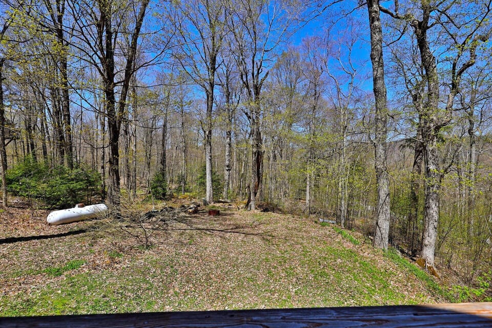 Trees and a leaf-covered hillside fill the view around the cabin.