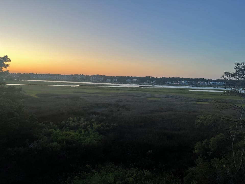 View from the back porch! 
