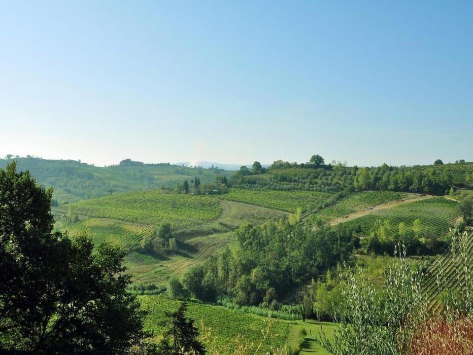 Region [summer] (>5 km)