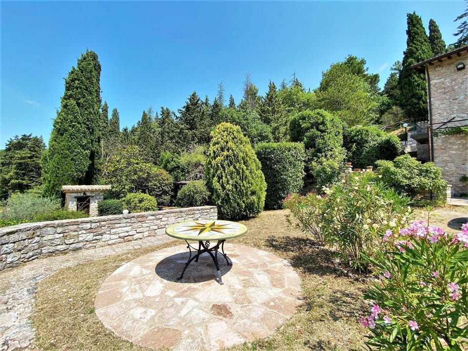 Garden [summer]